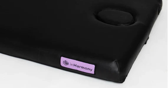 inHarmony Practitioner Vibroacoustic Massage Table with Integrated Sound and Vibration Therapy