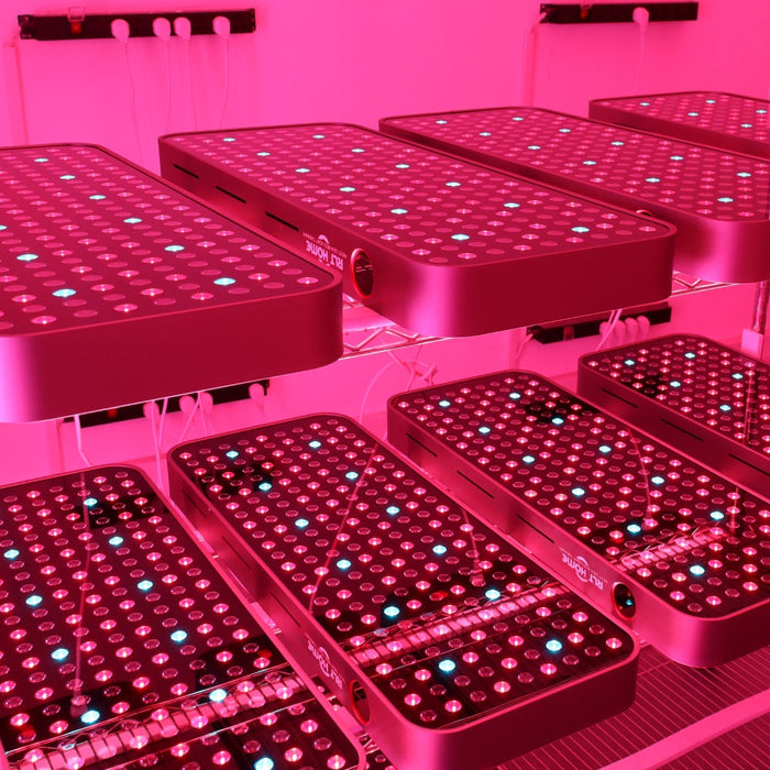 Total Spectrum COMPACT LED Light Panel with 216 LEDs and Adjustable Modes